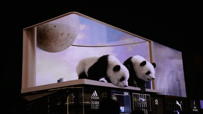A olho nu 3D Panda na China